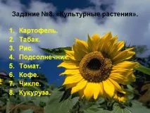 Северна Америка Америка Работа