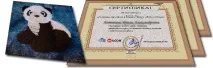Курси Wilcom ЕS «Створення дизайнів Fringe та Thread Velvet» створення