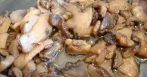 гъби лодки