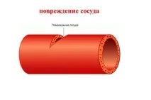нижніх