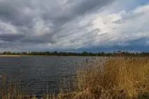Лебедяче озеро (Дубна) опис, як доїхати, відпочинок, відгуки дубна