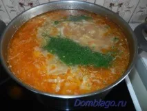 Легкий курячий суп з пекінською капустою пекінською