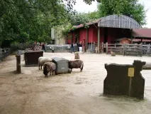 лондон