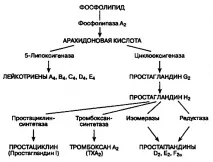 Ліки при подагрі групи лікарських засобів, їх характеристика, відгуки про препарати ліки