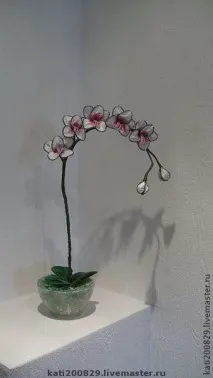 майсторски клас