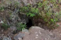 Меркітська фортеця та абрикосовий гай, Блог Олексія Будаєва абрикосовий