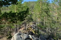Меркітська фортеця та абрикосовий гай, Блог Олексія Будаєва фортеця