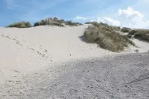 комплект майсторски