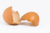 архив архив