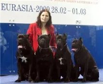 клас подготовка