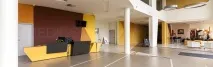 medigo чужбина