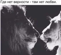 Без вірності немає стосунків вірності