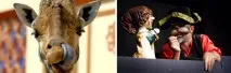. . (ВІЛЛА БОРГЕЗЕ) ? . БОРГЕЗЕ