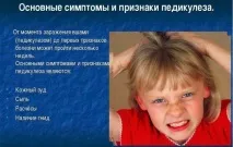 Чи можуть воші з’явитися на нервовому ґрунті явитися