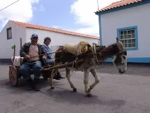 Олга Михайловна молитва
