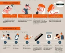Чи можуть воші з’явитися на нервовому ґрунті воші