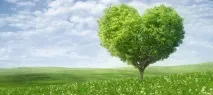 резонанс резонанс