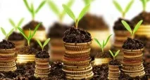 Наскільки рентабельним може стати бізнес із вирощування та заготівлі лікарських рослин, БІЗНЕС наскільки