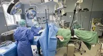 мозъка гръбначния мозъка гръбначния