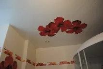 опънати картина