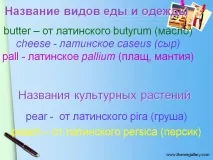 Назви культурних рослин - Презентація 106723-8 назви
