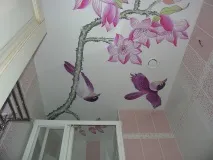 картина тавани
