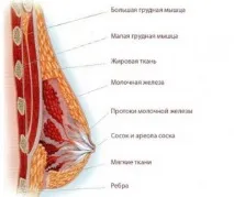 мастит симптоми