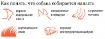 прави атака