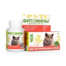 технологии технологии