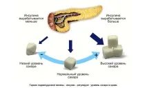 вагітності