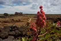 великденски великденски