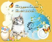 картички котки