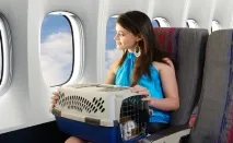 правила