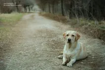 Пейзажна фотографія пейзажна фотографія