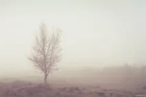 може