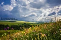 Пейзажна фотографія пейзажна