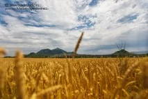 Пейзажна фотографія фотографія