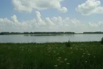 солено кулат