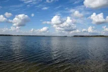 солено солено