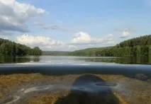 Озера Ульянівської області Біле озеро, Юлове, Єлхове та ін. області