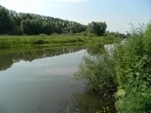 Озера Ульянівської області Біле озеро, Юлове, Єлхове та ін. ульянівської
