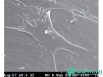 нови нови