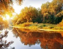 пейзажна пейзажна