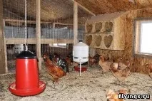 фураж новини
