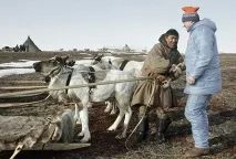 Чому спроби створити єдину націю не вдалися в СРСР і приречені в новій Україні Україна створити