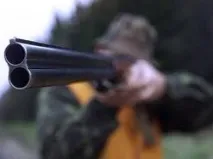сибірських