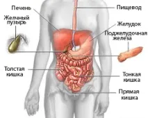 дослідження
