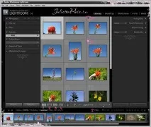 Photoshop Lightroom - Імпорт файлів, Живуть у мережі Квіти ~ Дизайн lightroom