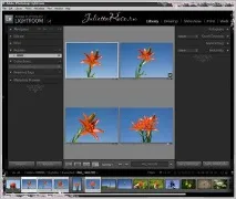 Photoshop Lightroom - Імпорт файлів, Живуть у мережі Квіти ~ Дизайн імпорт