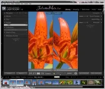 Photoshop Lightroom - Імпорт файлів, Живуть у мережі Квіти ~ Дизайн photoshop